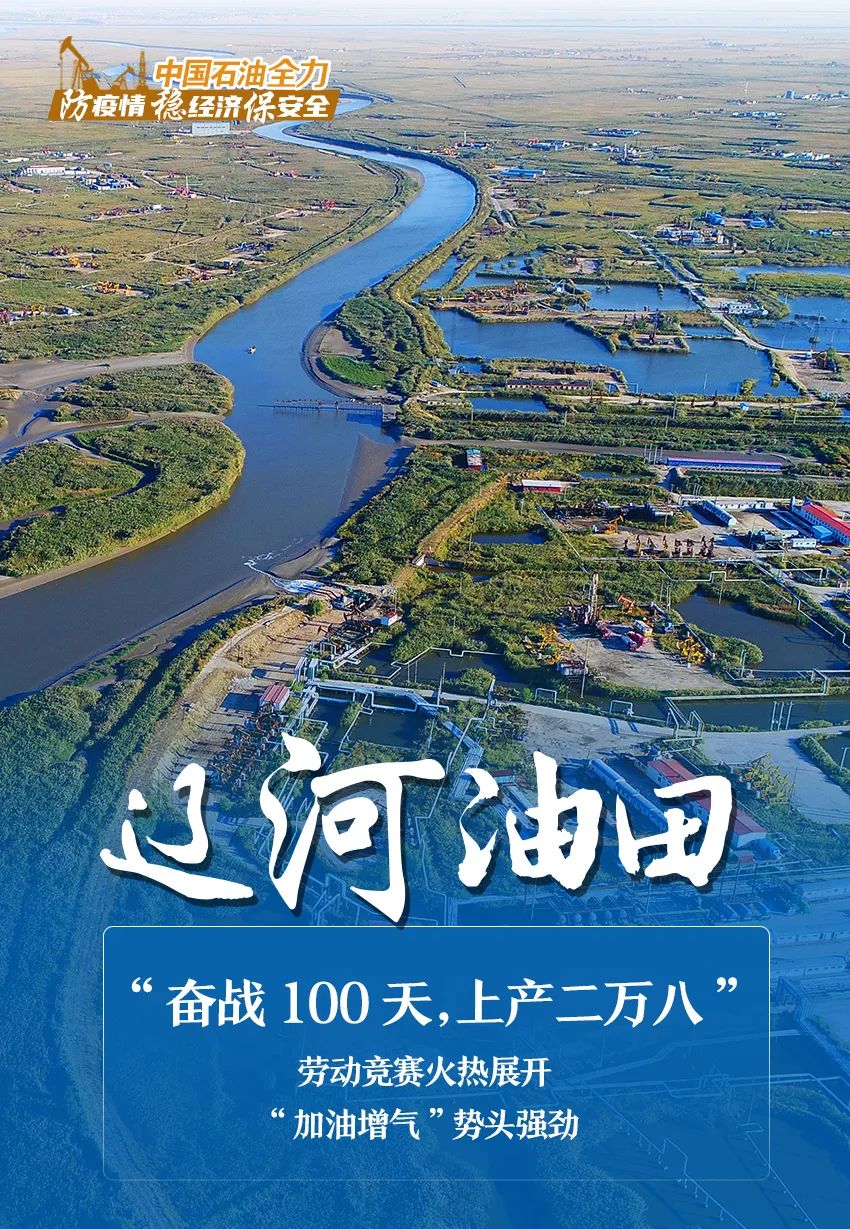 防疫情、稳经济、保安全！中国石油的答卷来了……