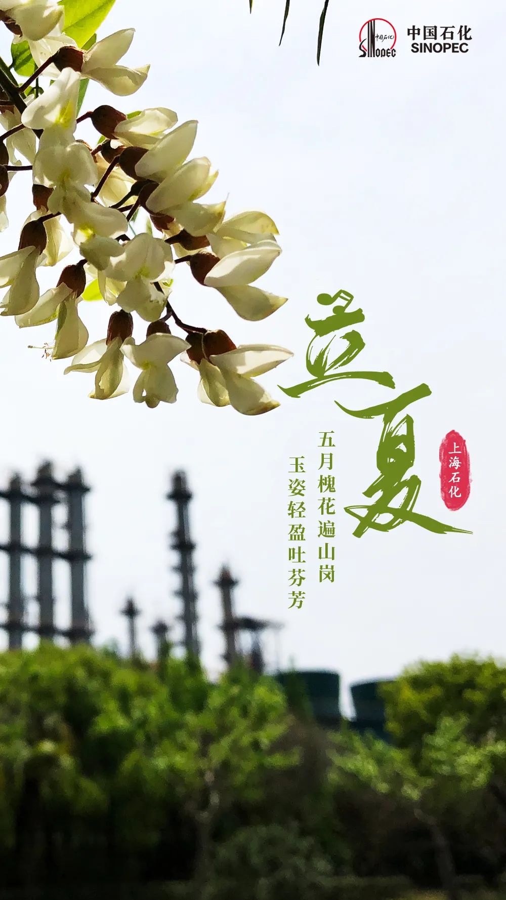 今日立夏，宜加油，加满！