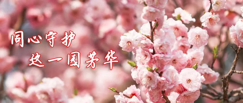 青春，先锋！