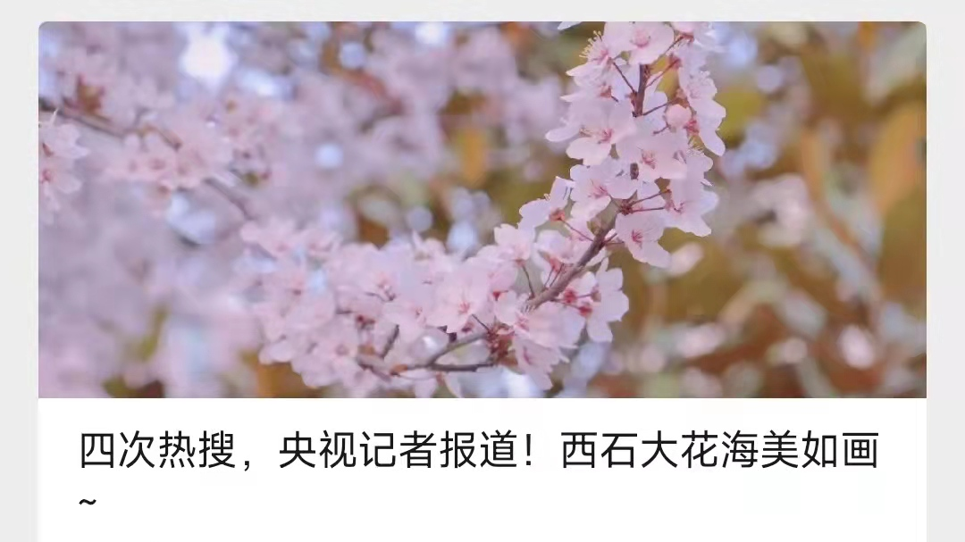 官微7周年 | 小油宠粉时刻，就现在！