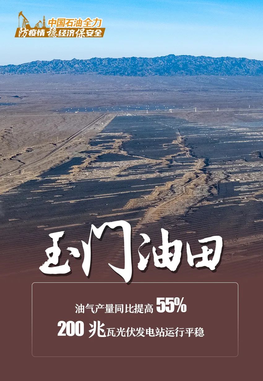 防疫情、稳经济、保安全！中国石油的答卷来了……