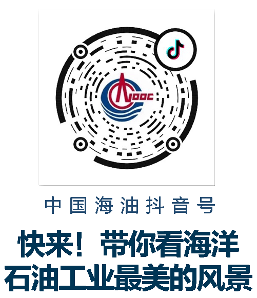 资讯 | 海油人获评全国五好家庭、全国家庭工作先进个人