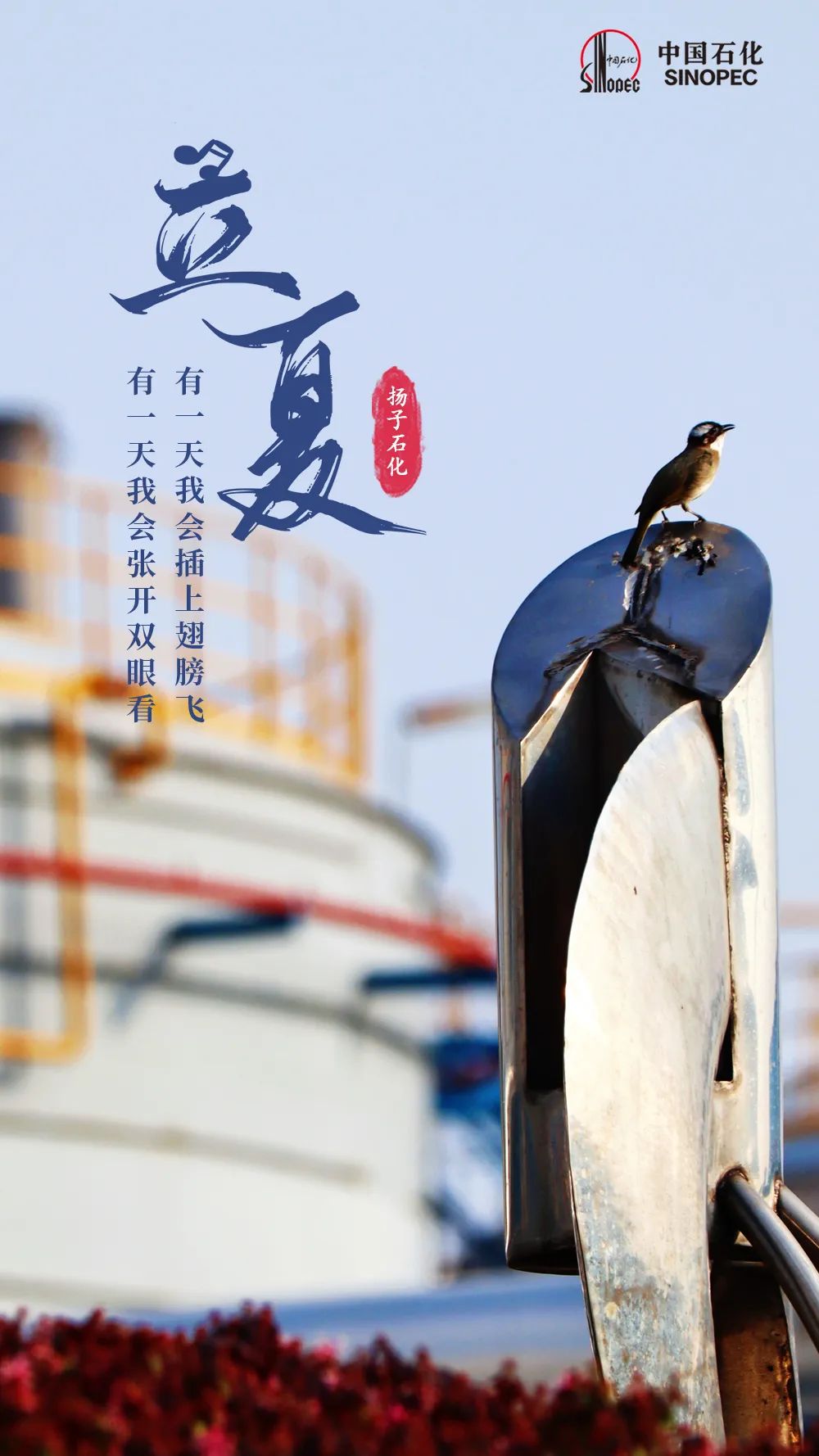 今日立夏，宜加油，加满！