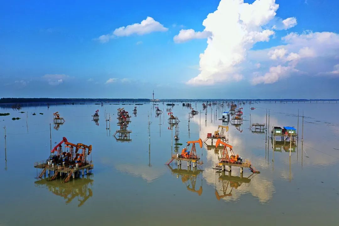 都说夏天晚上加油更划算，靠谱吗？