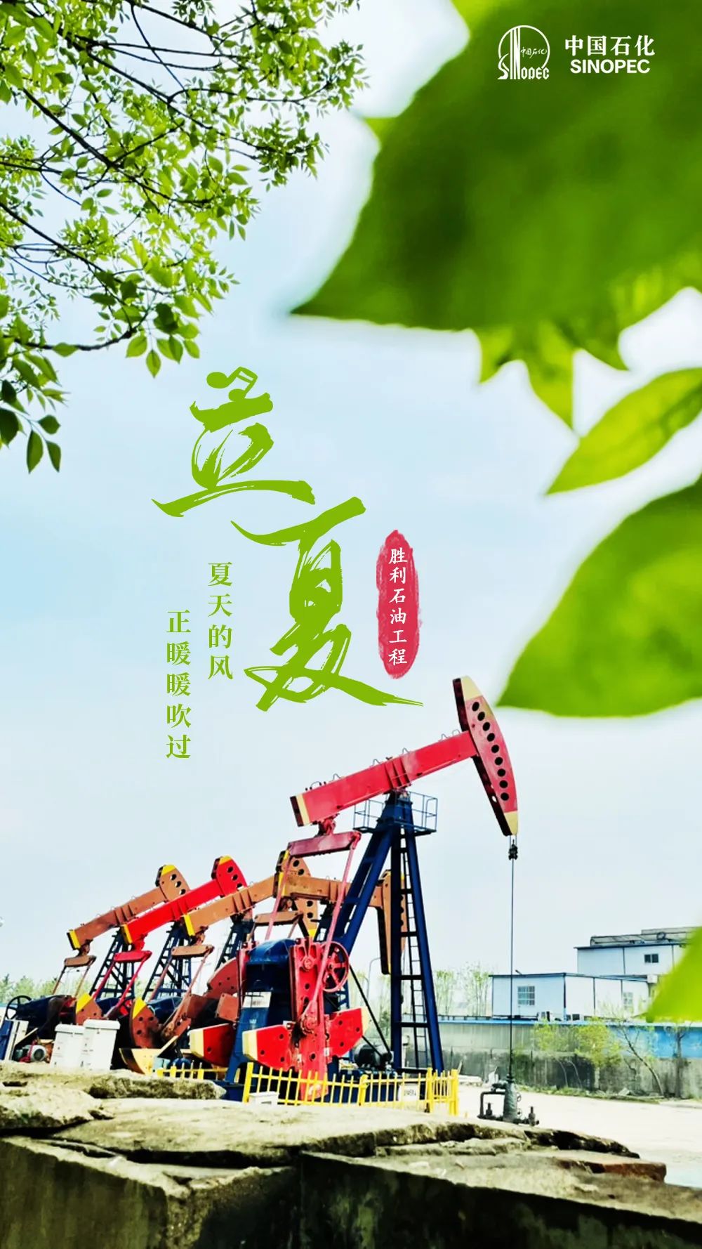今日立夏，宜加油，加满！