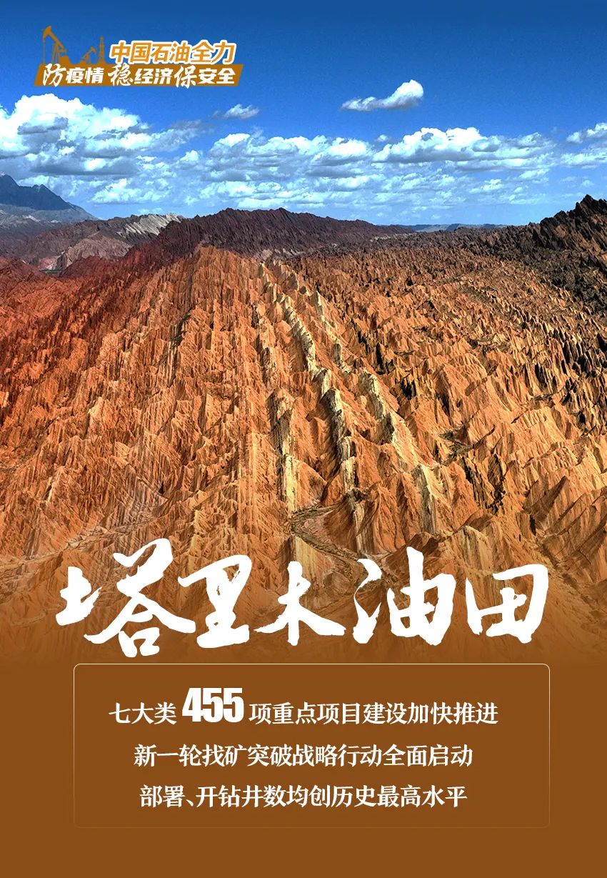 防疫情、稳经济、保安全！中国石油的答卷来了……
