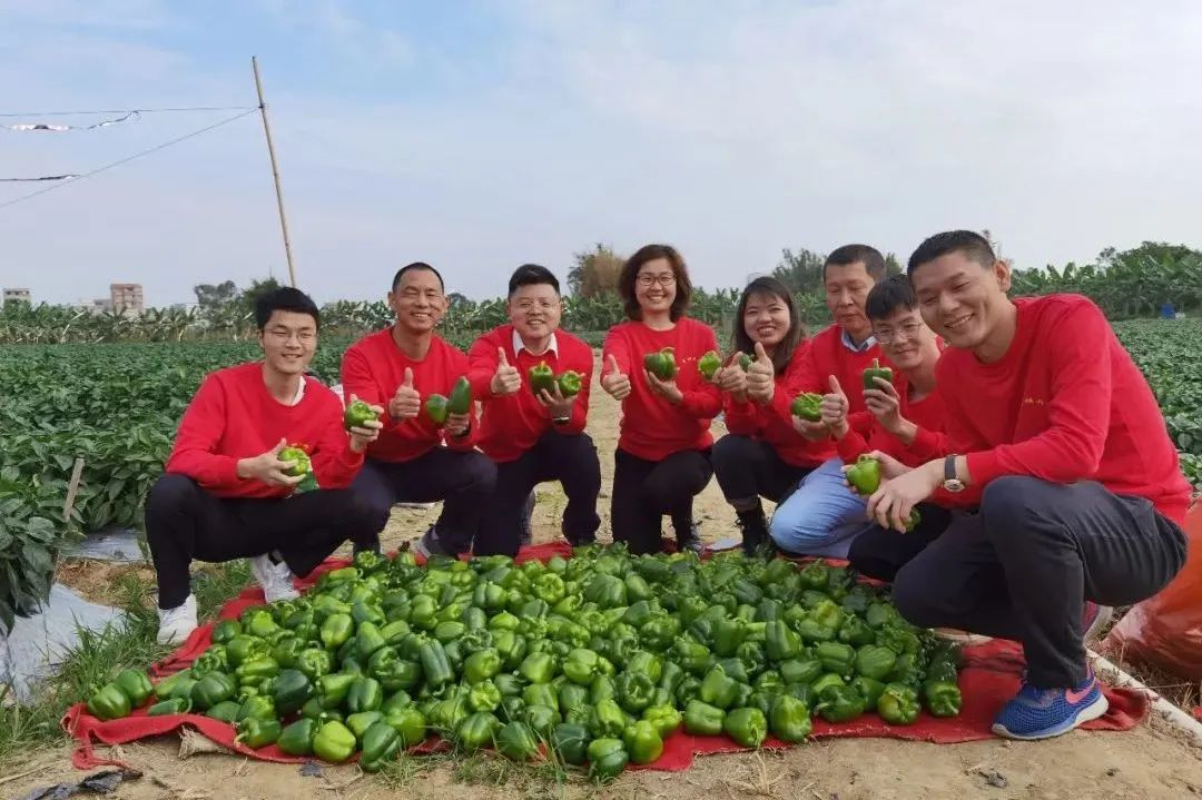 谁有滞销的优质农产品，中石化帮你卖！