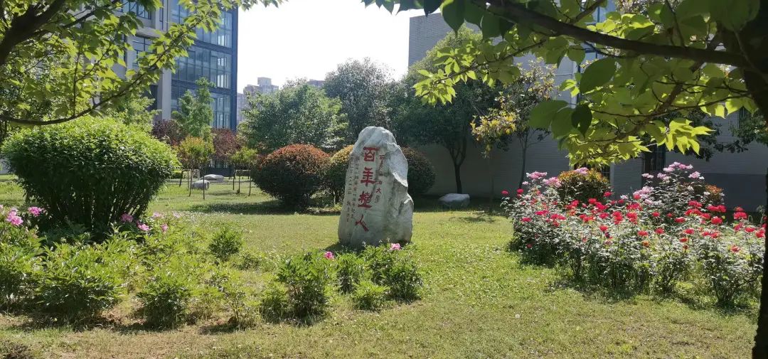 官微7周年 | 小油宠粉时刻，就现在！
