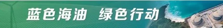 争做护绿“模范生”！
