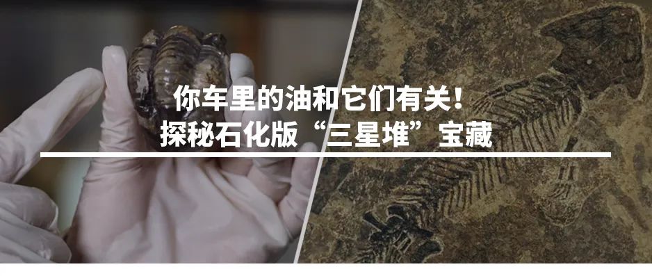 再获“千吨井”！塔里木盆地顺北油气田超深层油气再获突破！