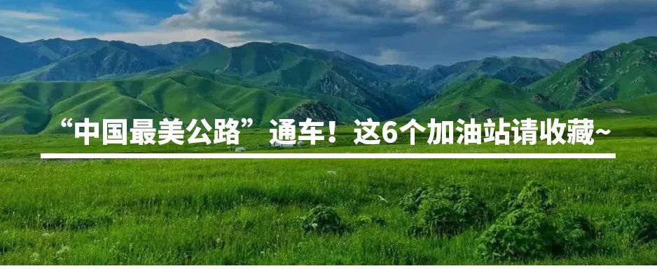 你车里的油和它们有关！探秘石化版“三星堆”宝藏