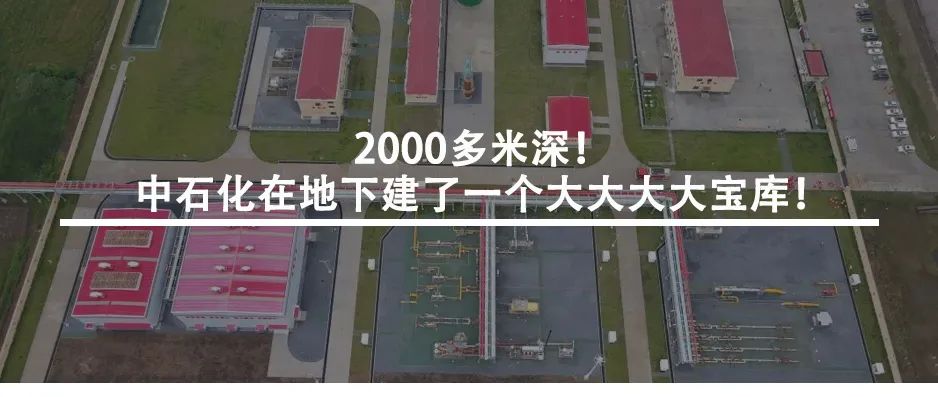 你车里的油和它们有关！探秘石化版“三星堆”宝藏