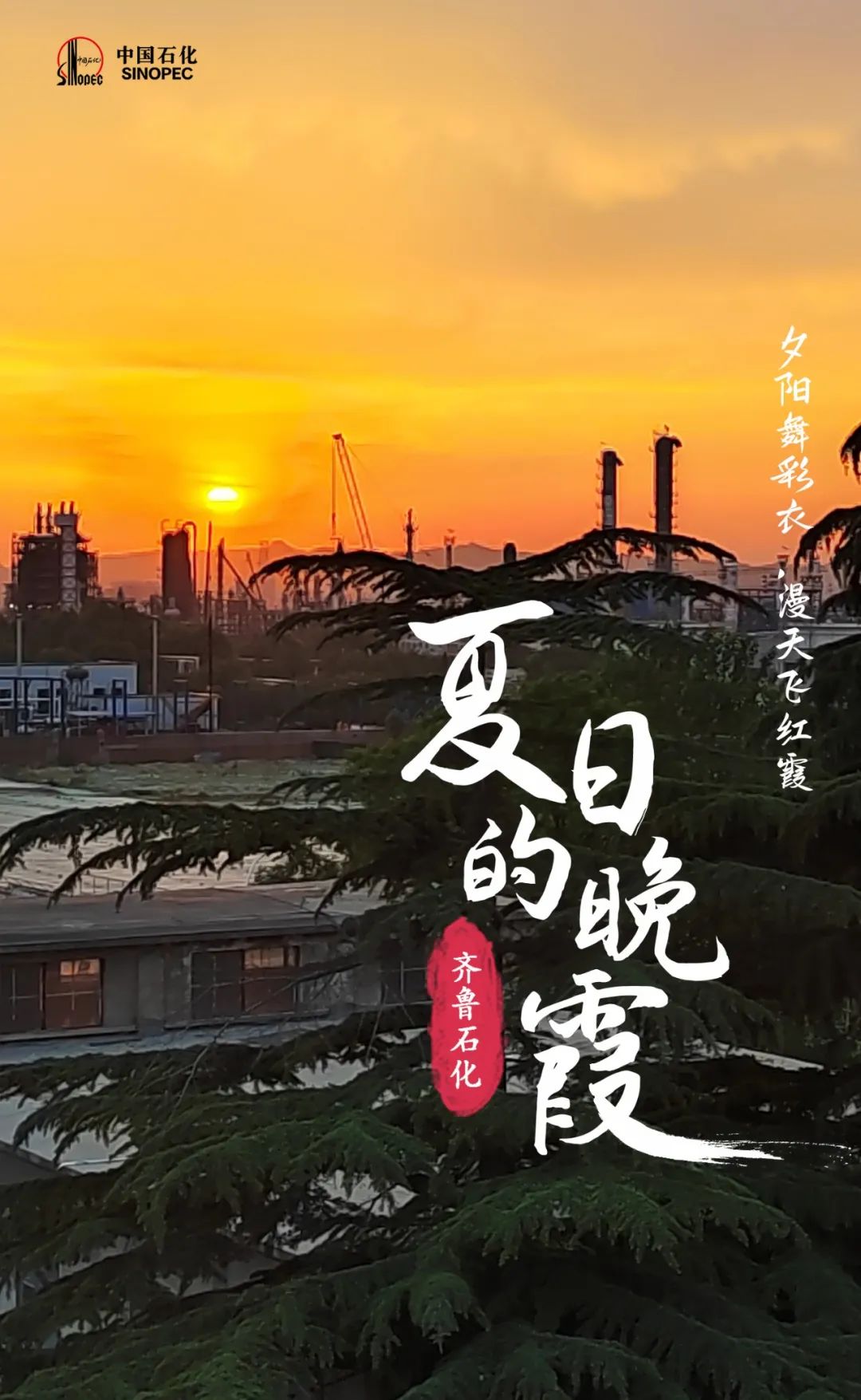 傍晚来吧，时机也刚刚好~