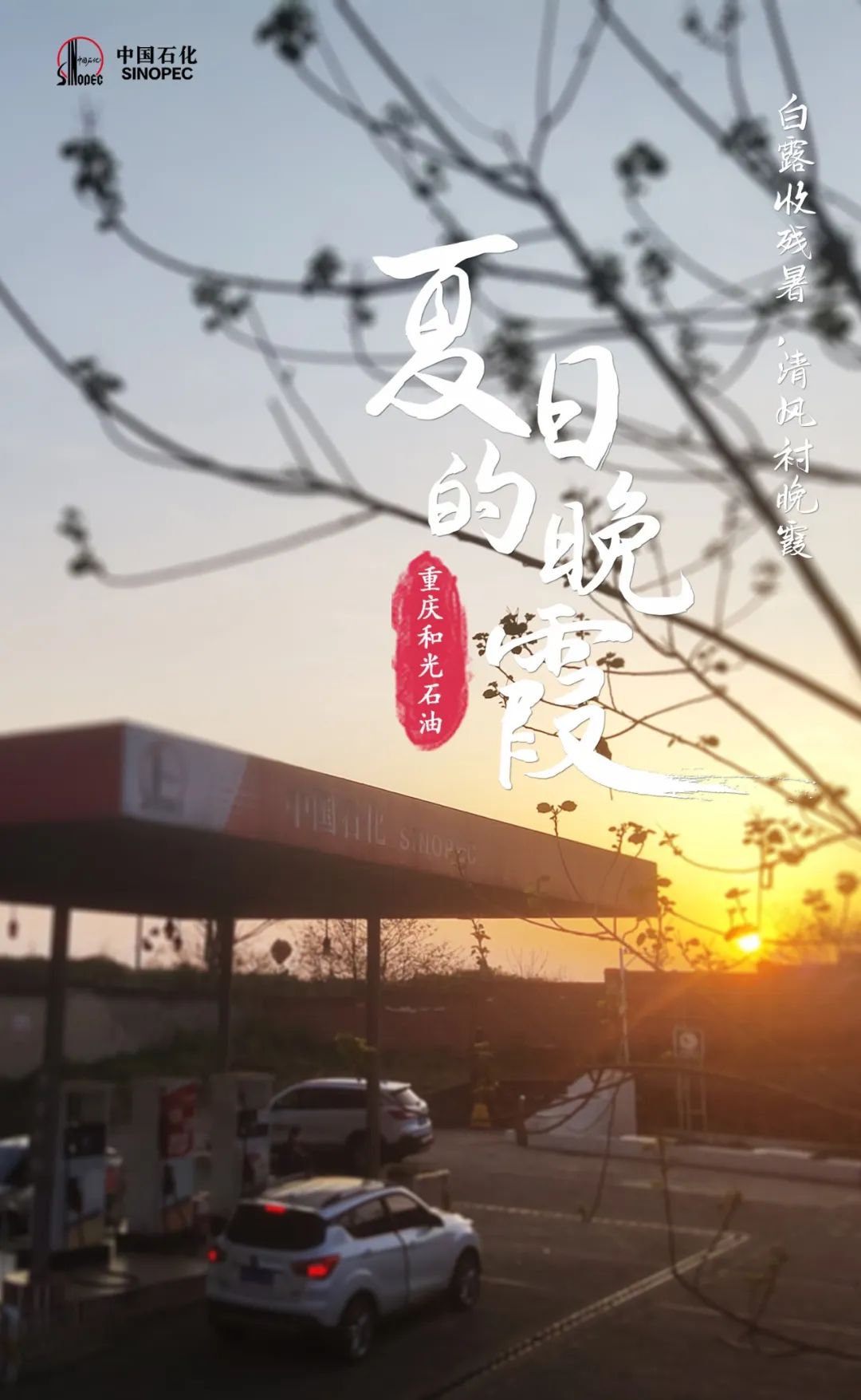 傍晚来吧，时机也刚刚好~