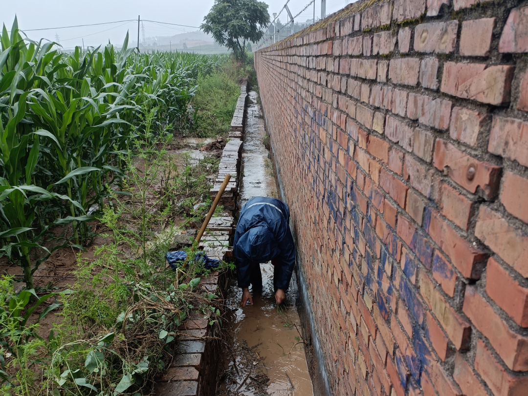 一线连连看 | 暴雨、积水、淤泥，他们迅速应对，全力恢复生产