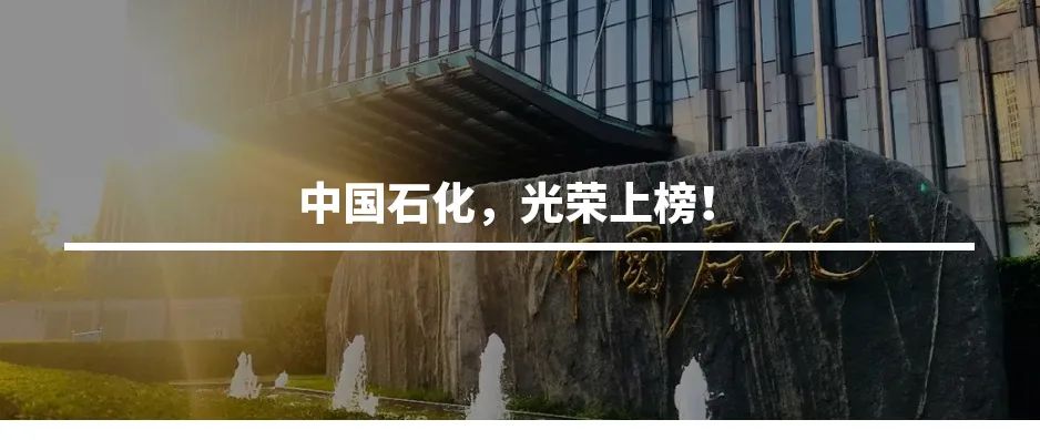 “新同事”入职装备太酷了！全是高科技！