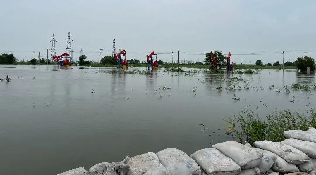 罕见灾情！石油人全力抗洪保产！