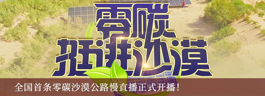 栽下梧桐树，只待凤凰来，中国石油全球诚聘高层次人才！