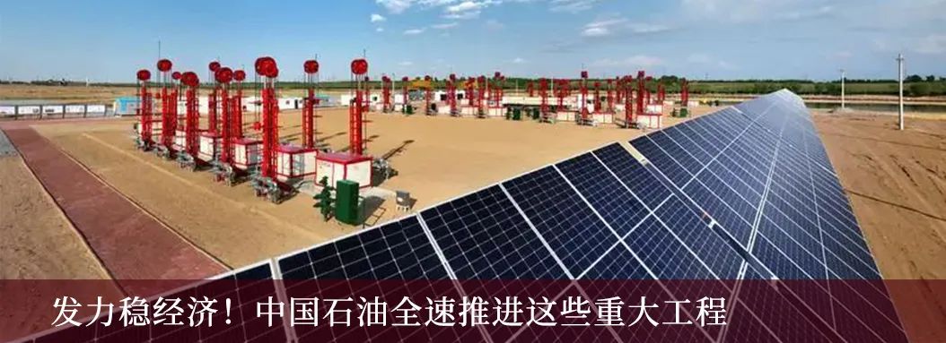 栽下梧桐树，只待凤凰来，中国石油全球诚聘高层次人才！