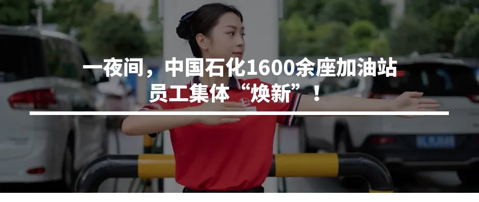 氢能应用现代产业链建设推进会暨高质量发展论坛在中国石化召开
