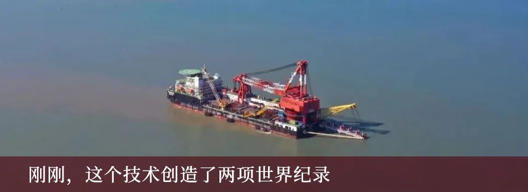 栽下梧桐树，只待凤凰来，中国石油全球诚聘高层次人才！