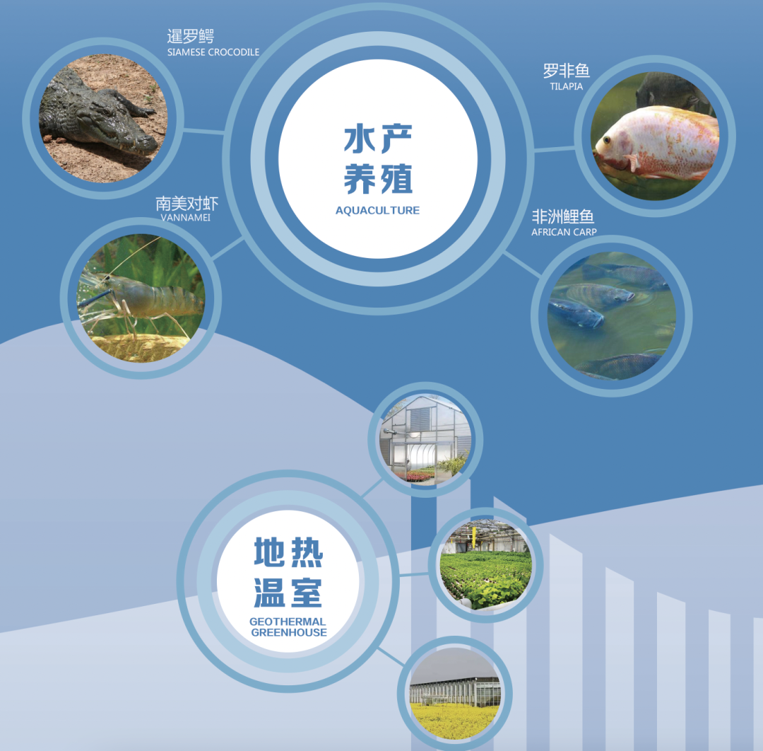 今天，咱们一起去地心看看~