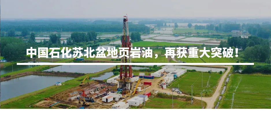 “新同事”入职装备太酷了！全是高科技！
