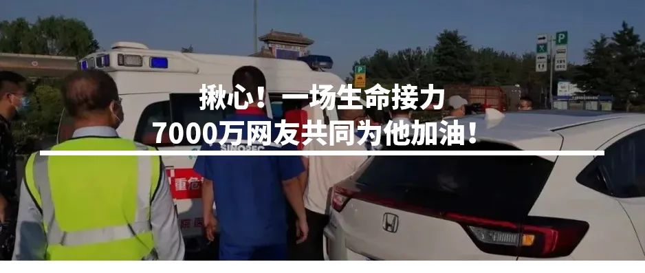 氢能应用现代产业链建设推进会暨高质量发展论坛在中国石化召开