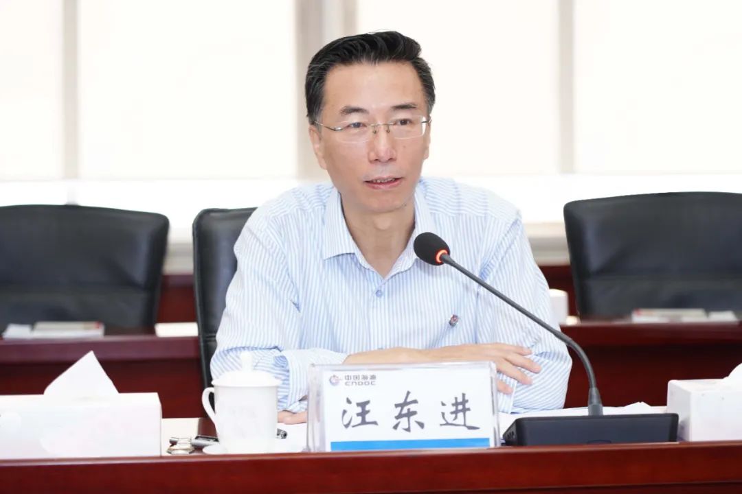 汪东进赴湛江片区现场办公