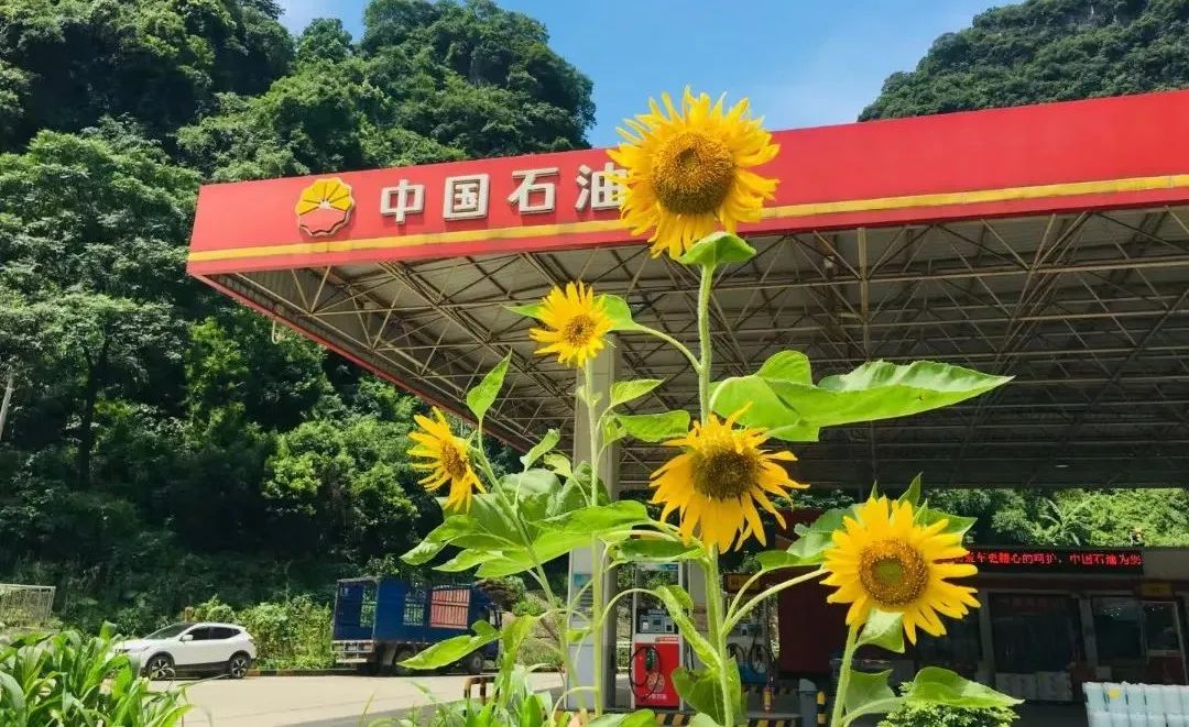 最新世界500强出炉，中国石油位列第四！