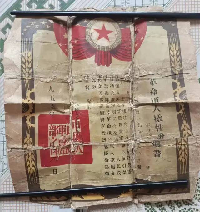 我愿做“提灯者”：为英魂寻亲 让烈士“归家”