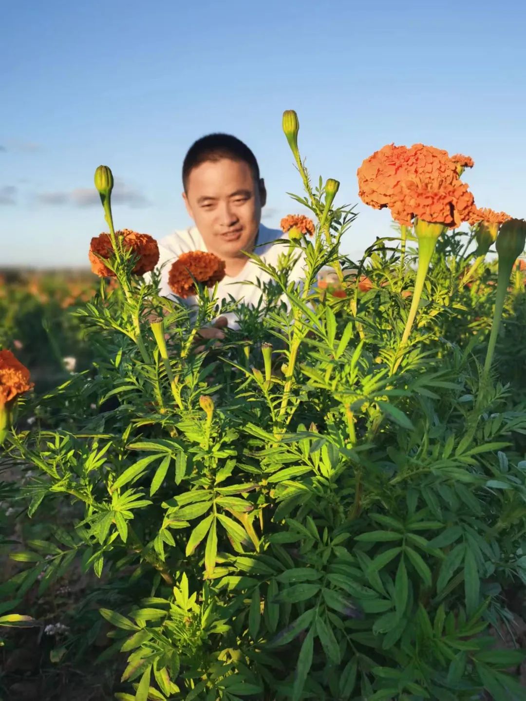 大丁，你藏不住了