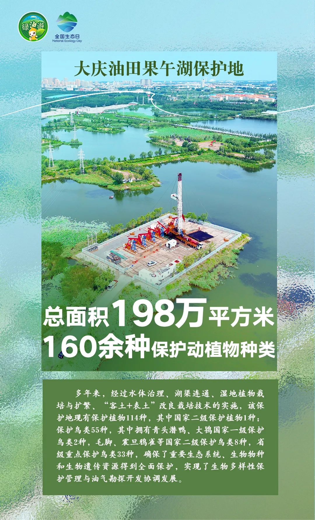 刚刚！中国石油官宣设立！
