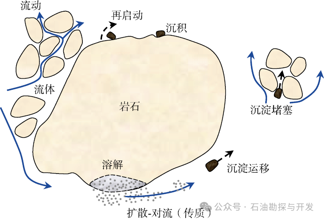 西南石油大学张烈辉教授：二氧化碳-水-岩作用机理及微观模拟方法研究进展
