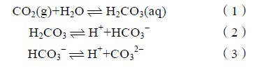 西南石油大学张烈辉教授：二氧化碳-水-岩作用机理及微观模拟方法研究进展