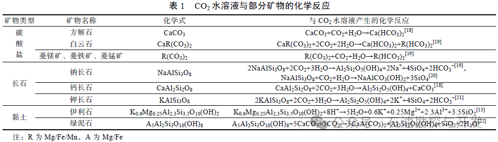 西南石油大学张烈辉教授：二氧化碳-水-岩作用机理及微观模拟方法研究进展