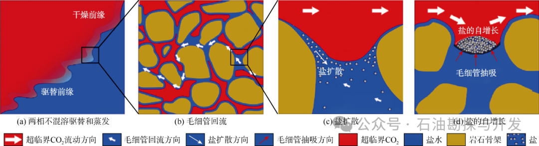 西南石油大学张烈辉教授：二氧化碳-水-岩作用机理及微观模拟方法研究进展