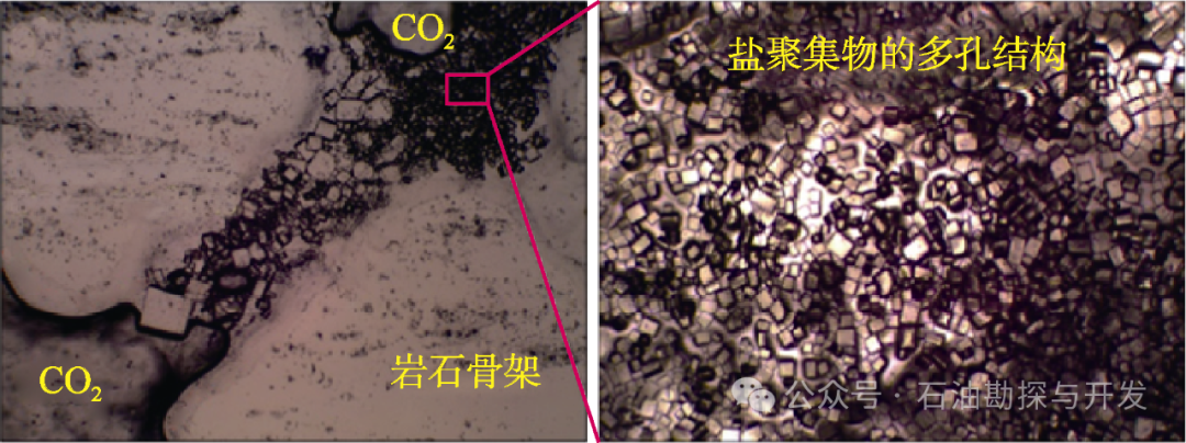 西南石油大学张烈辉教授：二氧化碳-水-岩作用机理及微观模拟方法研究进展