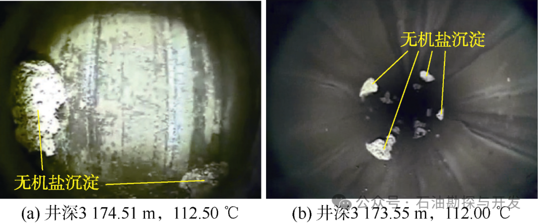 西南石油大学张烈辉教授：二氧化碳-水-岩作用机理及微观模拟方法研究进展