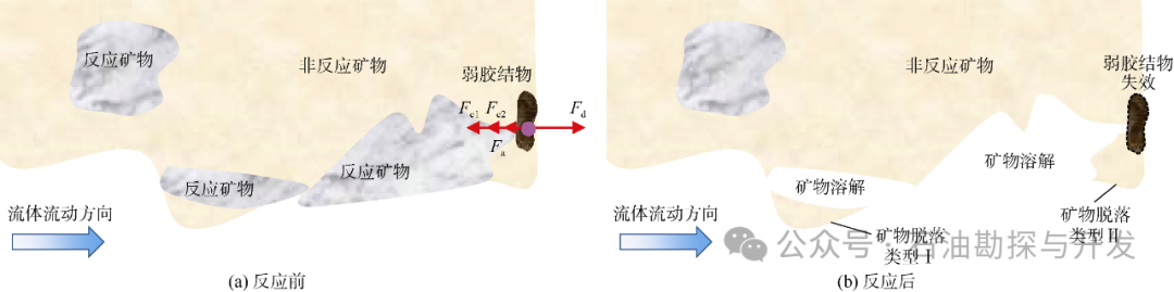 西南石油大学张烈辉教授：二氧化碳-水-岩作用机理及微观模拟方法研究进展