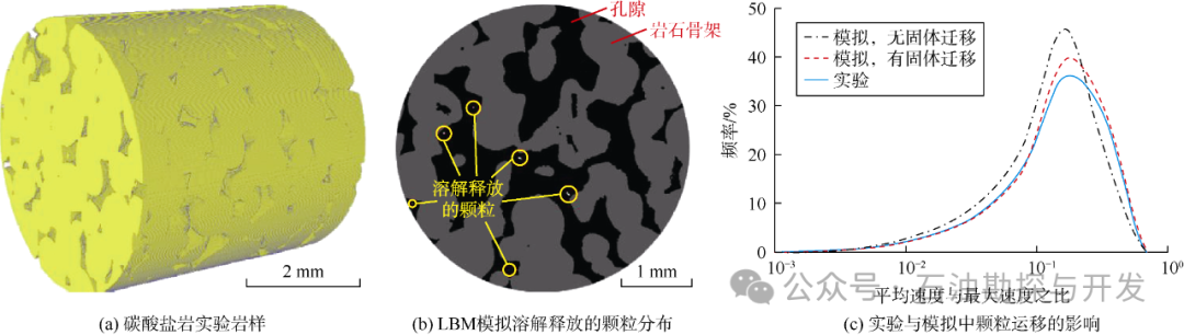 西南石油大学张烈辉教授：二氧化碳-水-岩作用机理及微观模拟方法研究进展