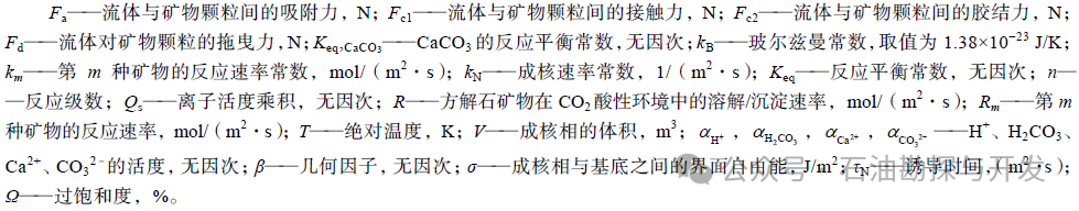 西南石油大学张烈辉教授：二氧化碳-水-岩作用机理及微观模拟方法研究进展