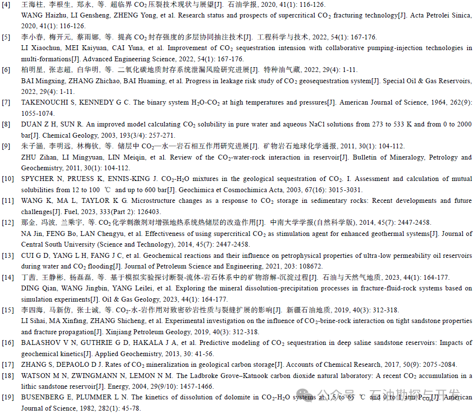 西南石油大学张烈辉教授：二氧化碳-水-岩作用机理及微观模拟方法研究进展