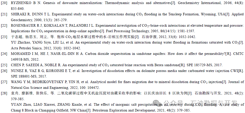 西南石油大学张烈辉教授：二氧化碳-水-岩作用机理及微观模拟方法研究进展
