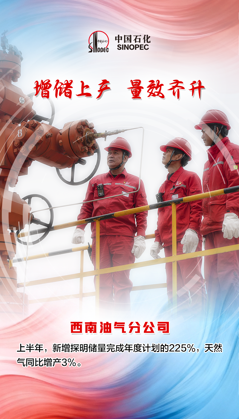中石化各大油田,年中成绩单!