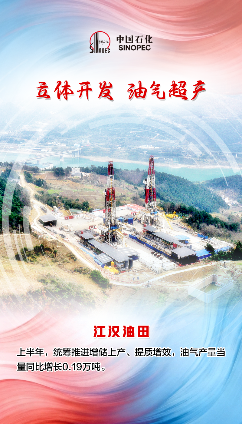 中石化各大油田,年中成绩单!